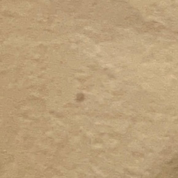 Eddie Bauer XL Shirt - Picture 6 of 6